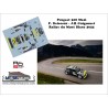 ! Pré-commande Decals 306 Maxi - F. Delecour  - Rallye du Mont Blanc 2021
