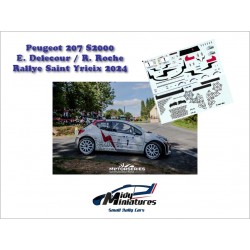 Decals 1/43 207 S2000 - E. Delecour - Saint Yrieix 2024