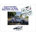 Decals 1/43 207 S2000 - E. Delecour - Saint Yrieix 2024